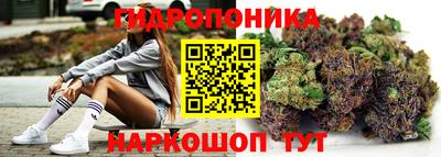 дмт Тверь